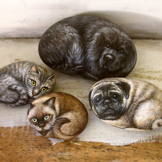 A Cute Animal Family - Pet Portraits on Rocks