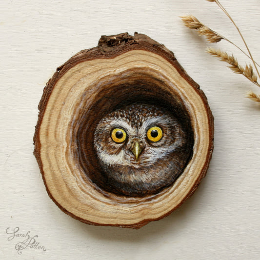 Cute Homes for Owls!