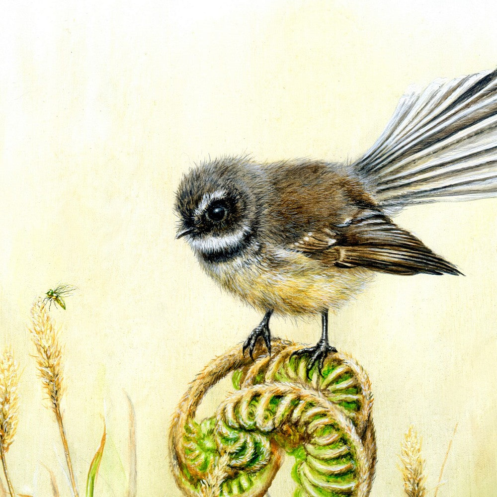 New Zealand Fantail Bird Wall Art