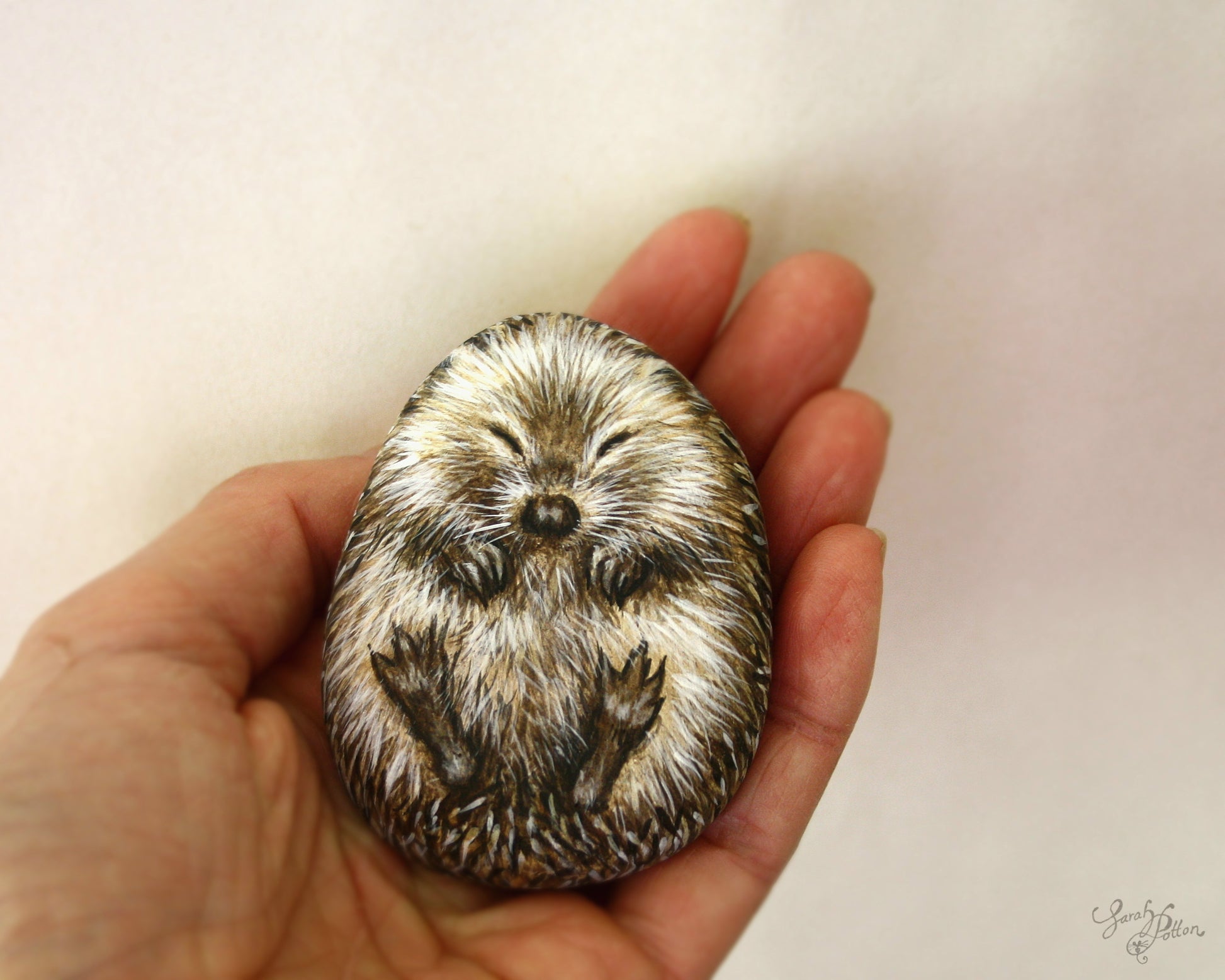 Hedgehog Painted on a Rock by NZ Artist Sarah Potton