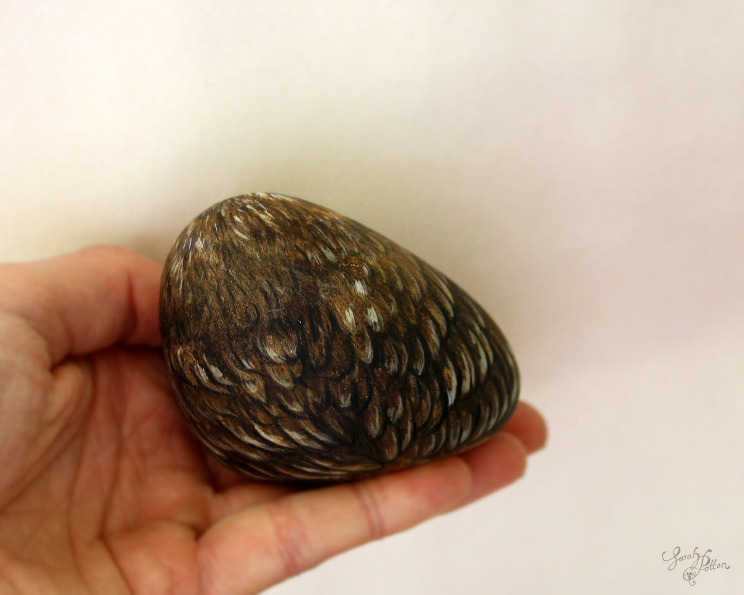 NZ Morepork Owl Painted Rock