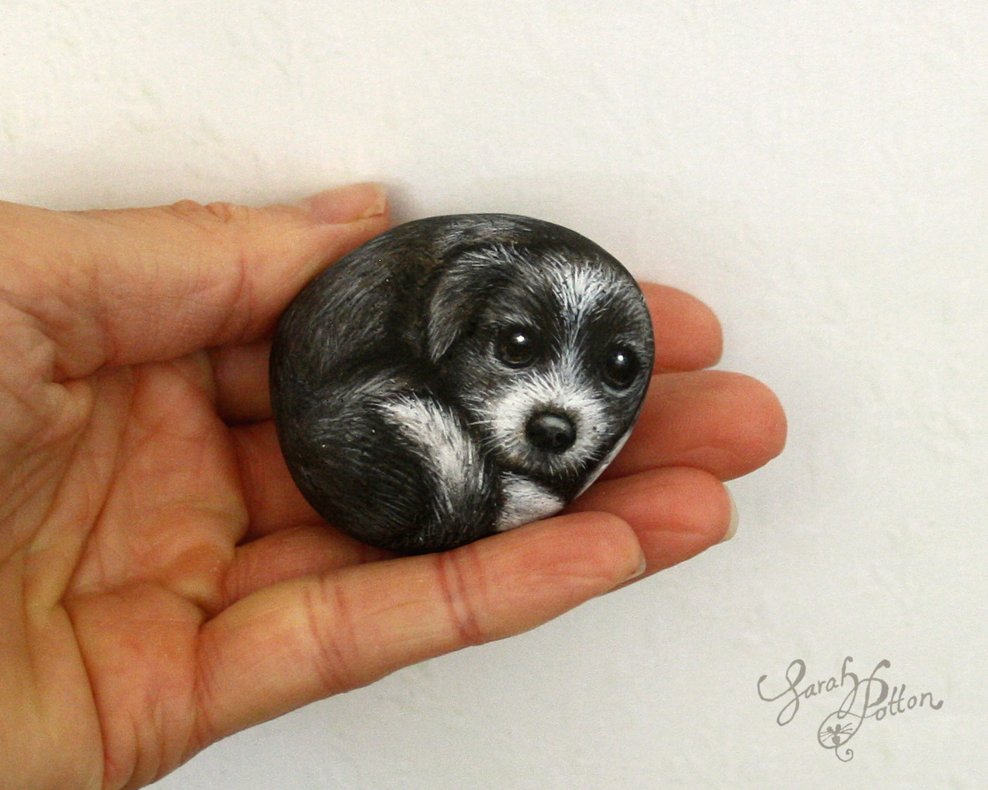 Border Collie Puppy Painted Stone