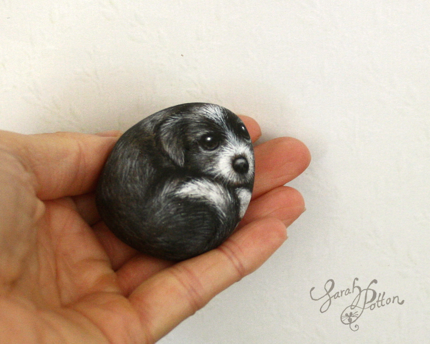 Border Collie Puppy Painted Stone