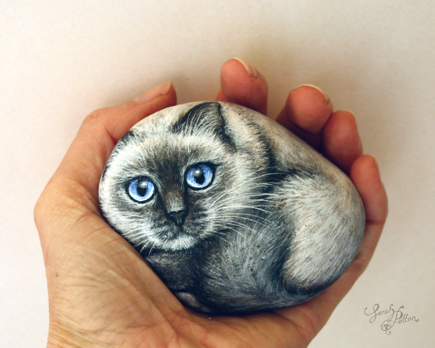 Fluffy Ragdoll Cat Painted Rock