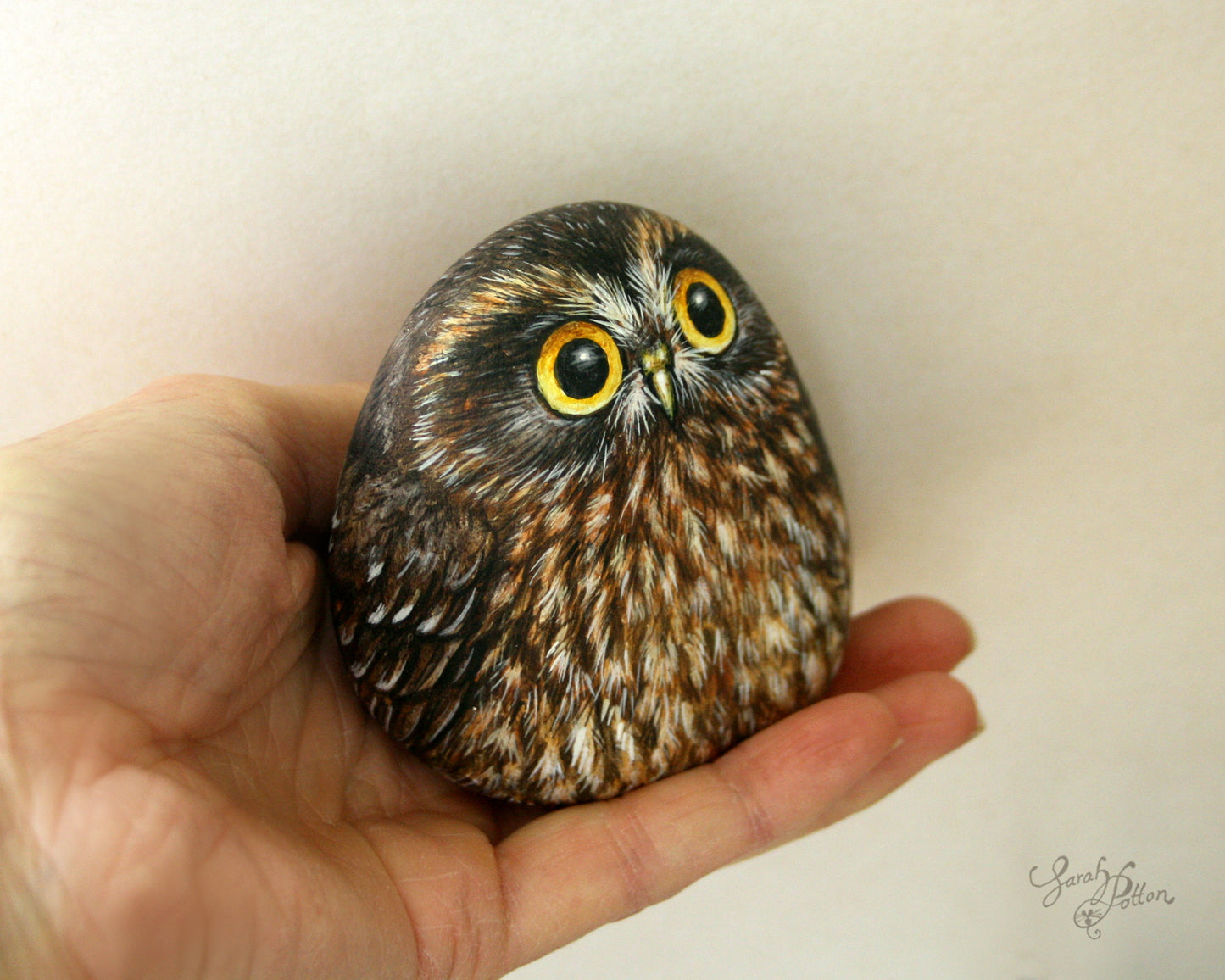 Morepork Rock Painting - NZ Ruru Owl