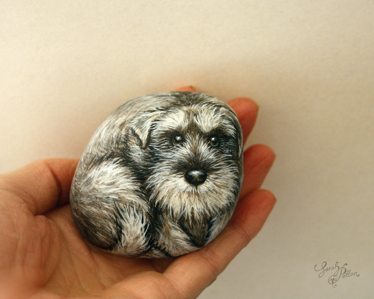 Dog Painted Stone - Miniature Schnauzer Art