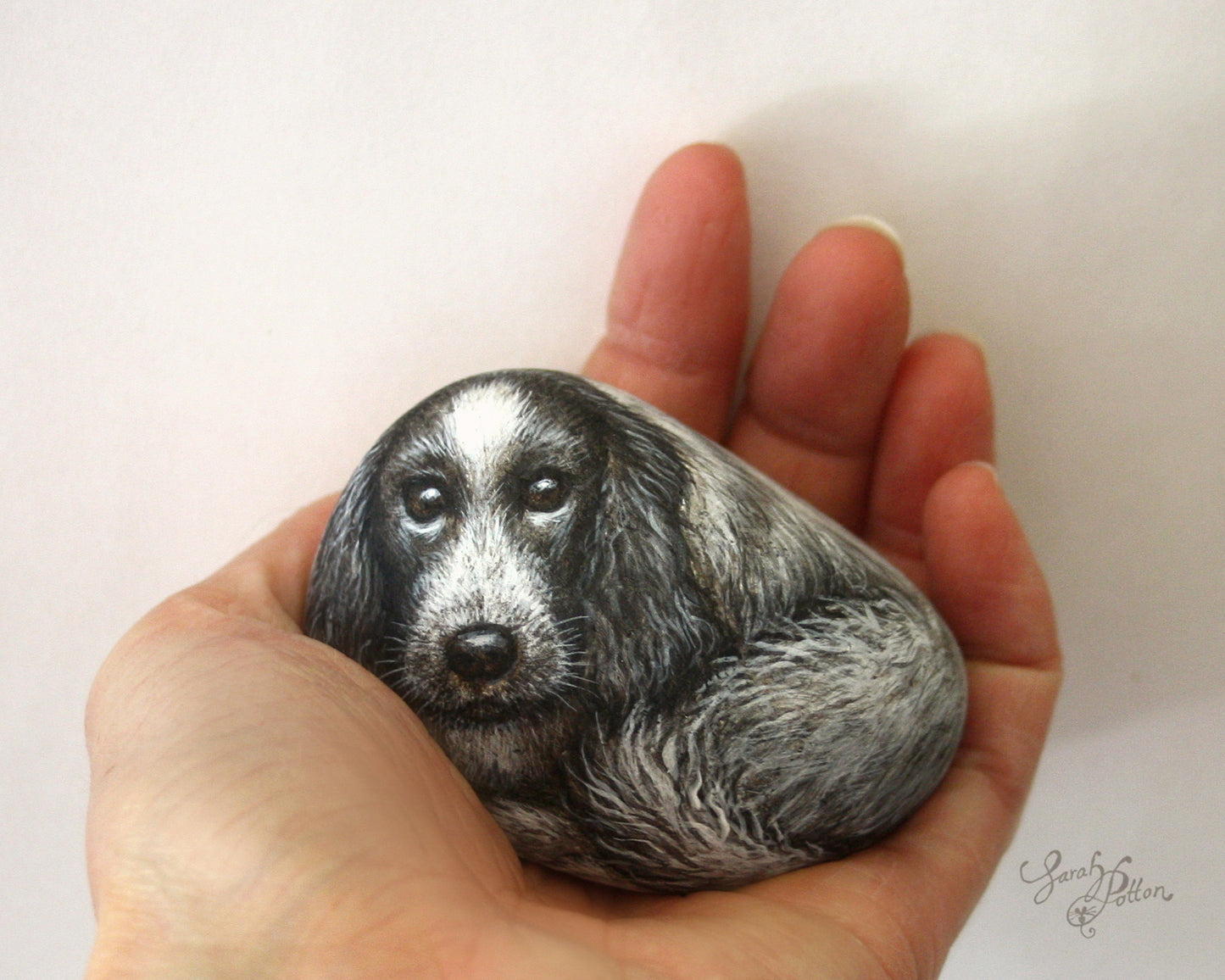 Blue Roan Cocker Spaniel Stone Painting