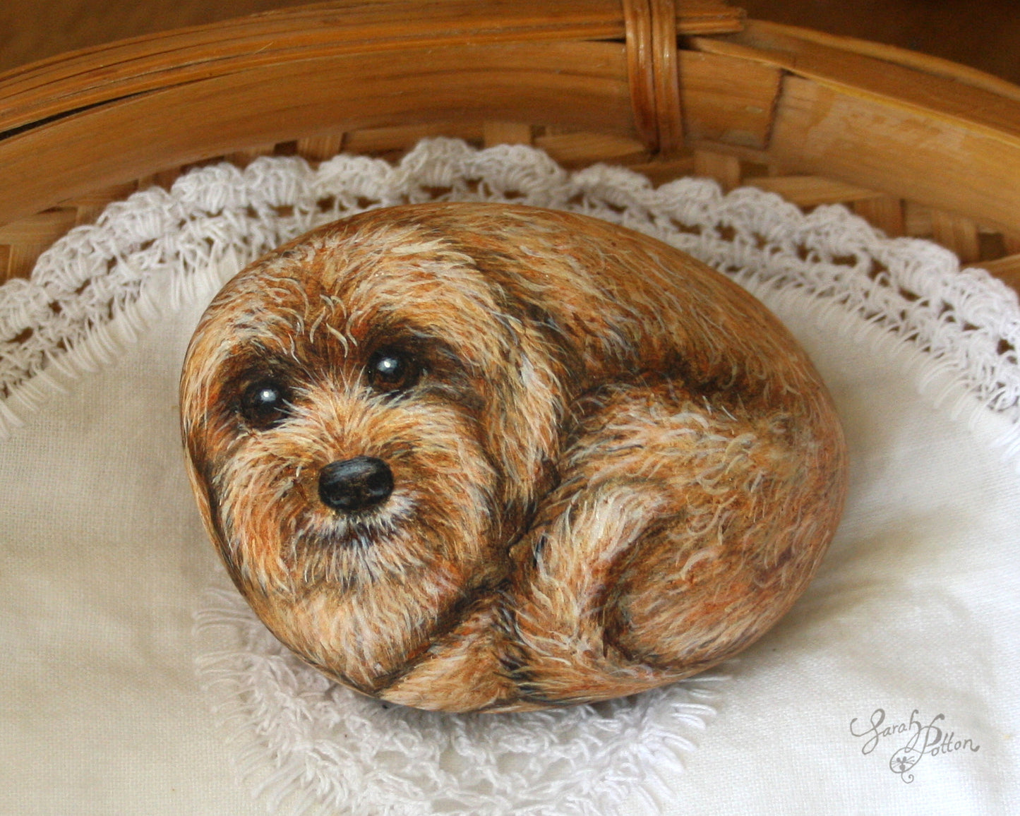 Cavoodle Dog Painted Rock