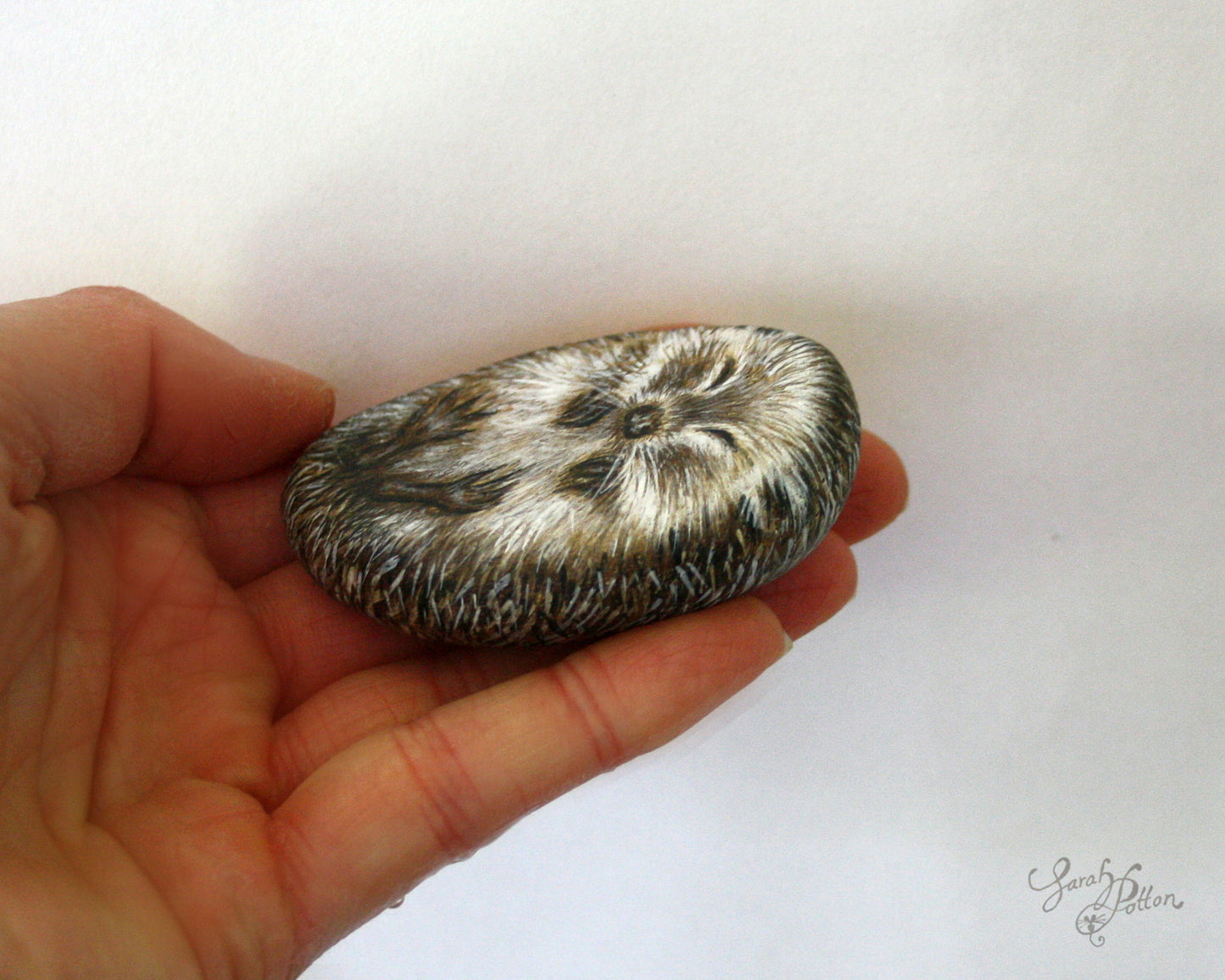 Sleeping Hedgehog Painted Stone