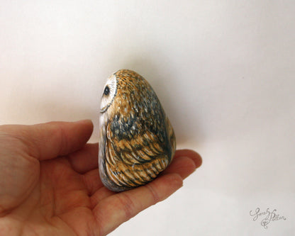 Barn Owl Painted Rock