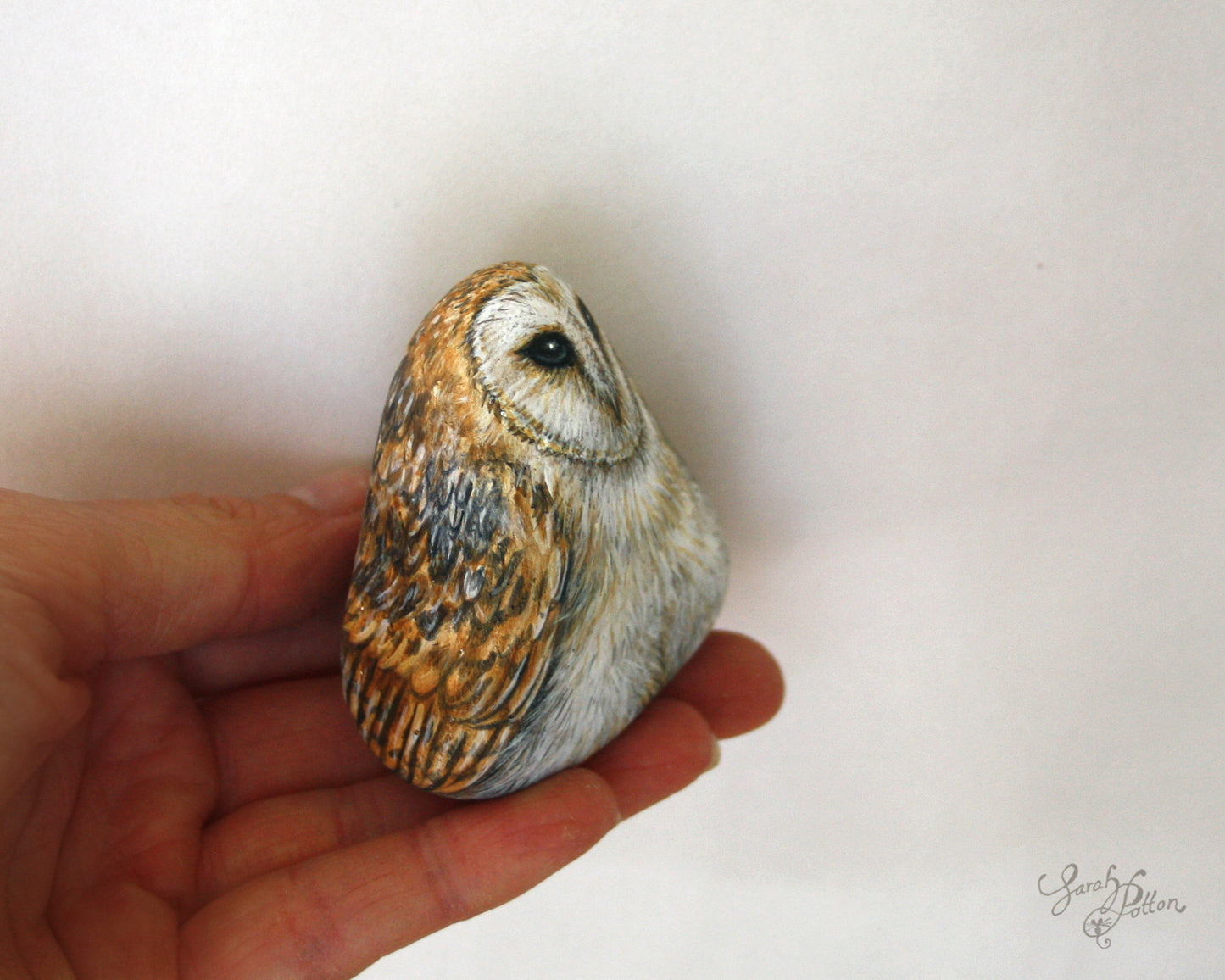 Barn Owl Painted Rock