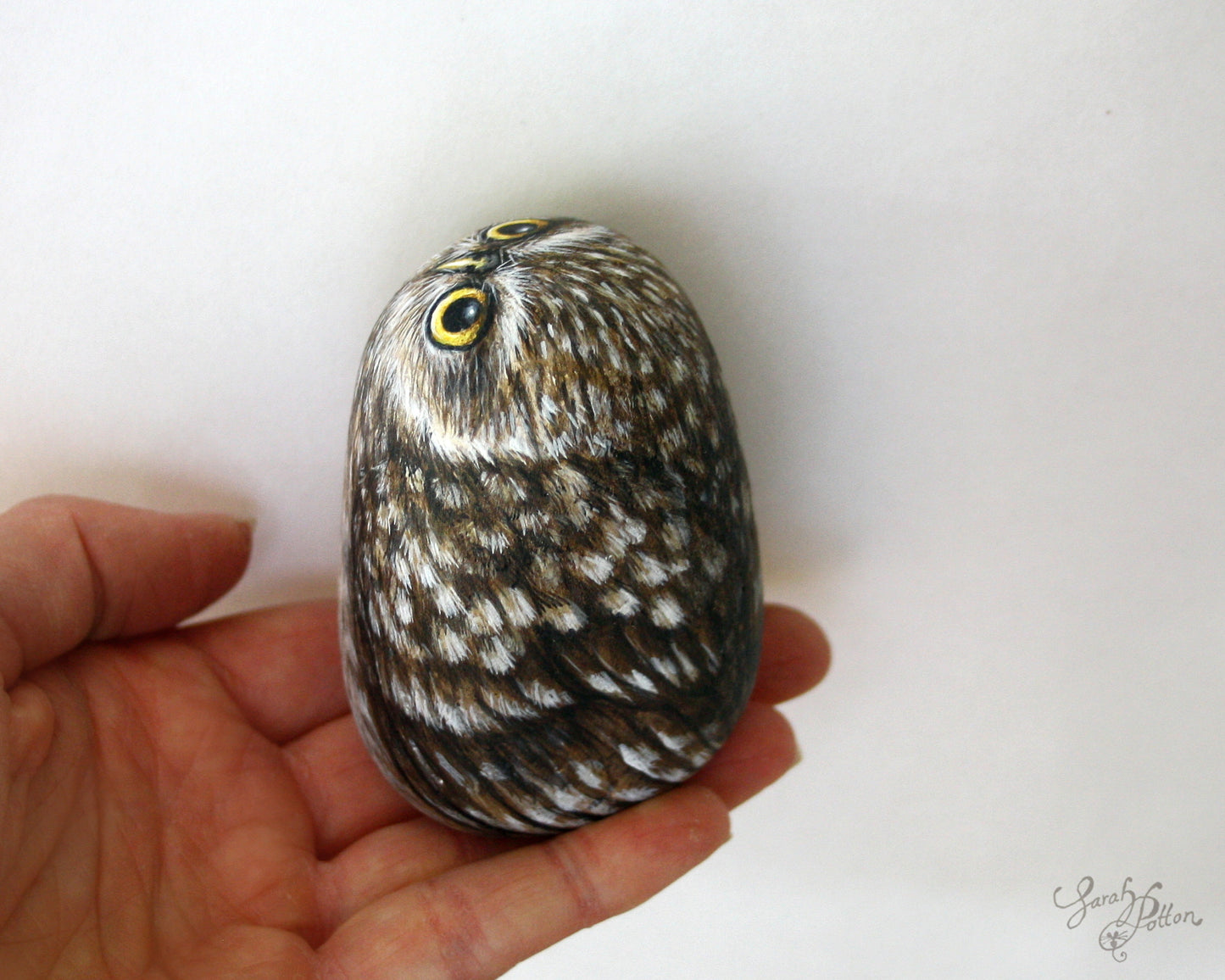 Painted Rock - NZ Little Owl