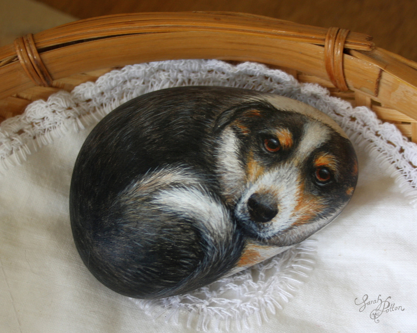 Painted Rock - Tricolour Border Collie Dog