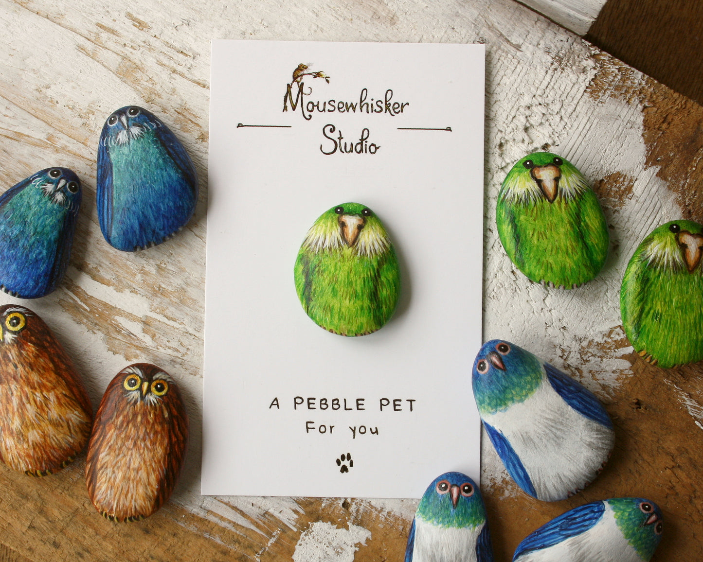 NZ Kakapo Pebble Brooch