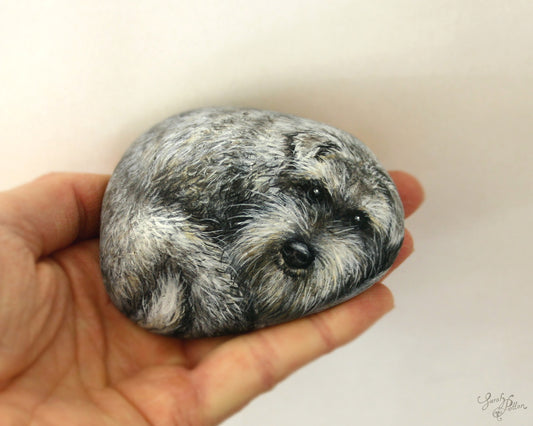 Miniature Schnauzer Dog Painted Rock