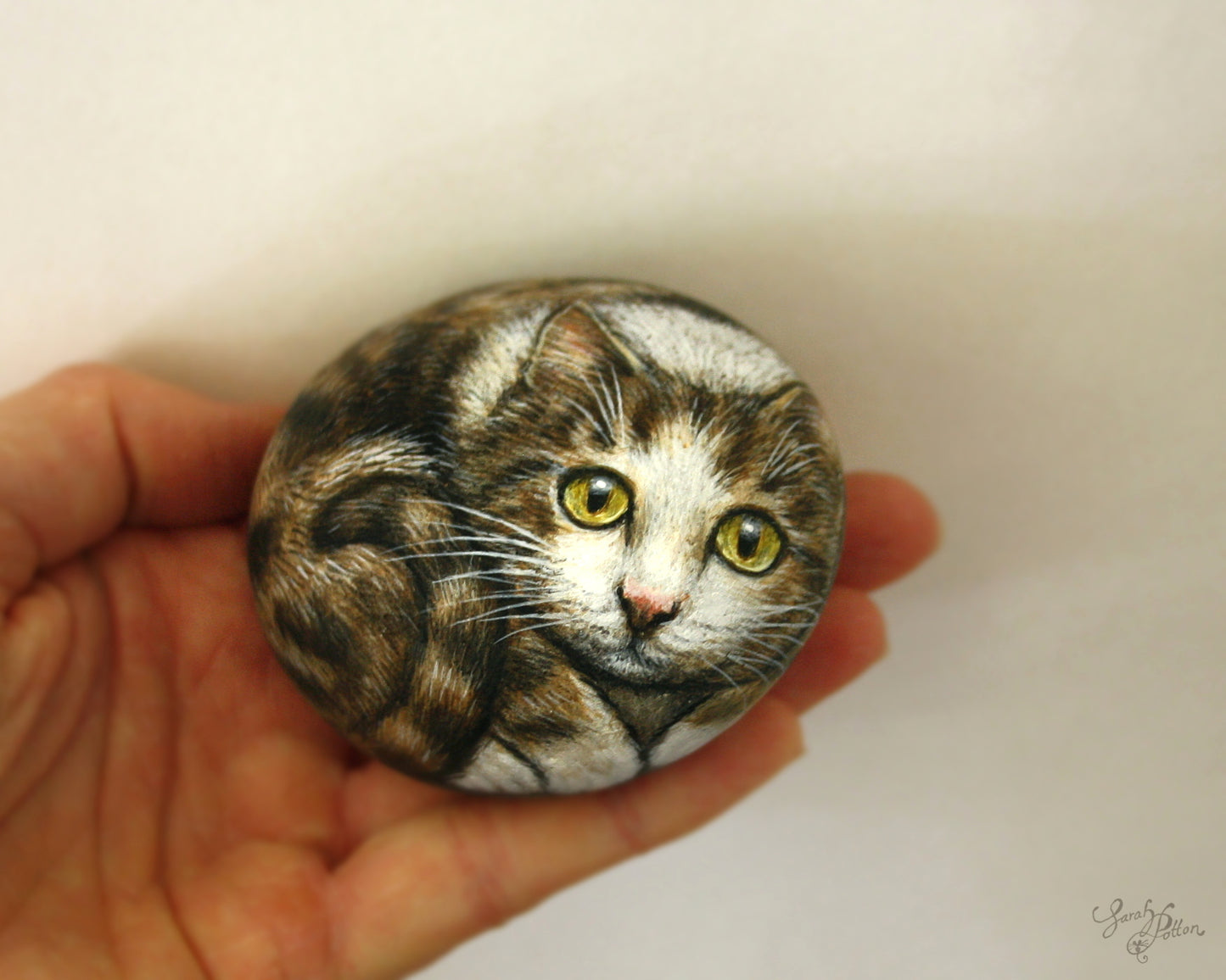 Brown & White Tabby Cat - Painted Rock Art