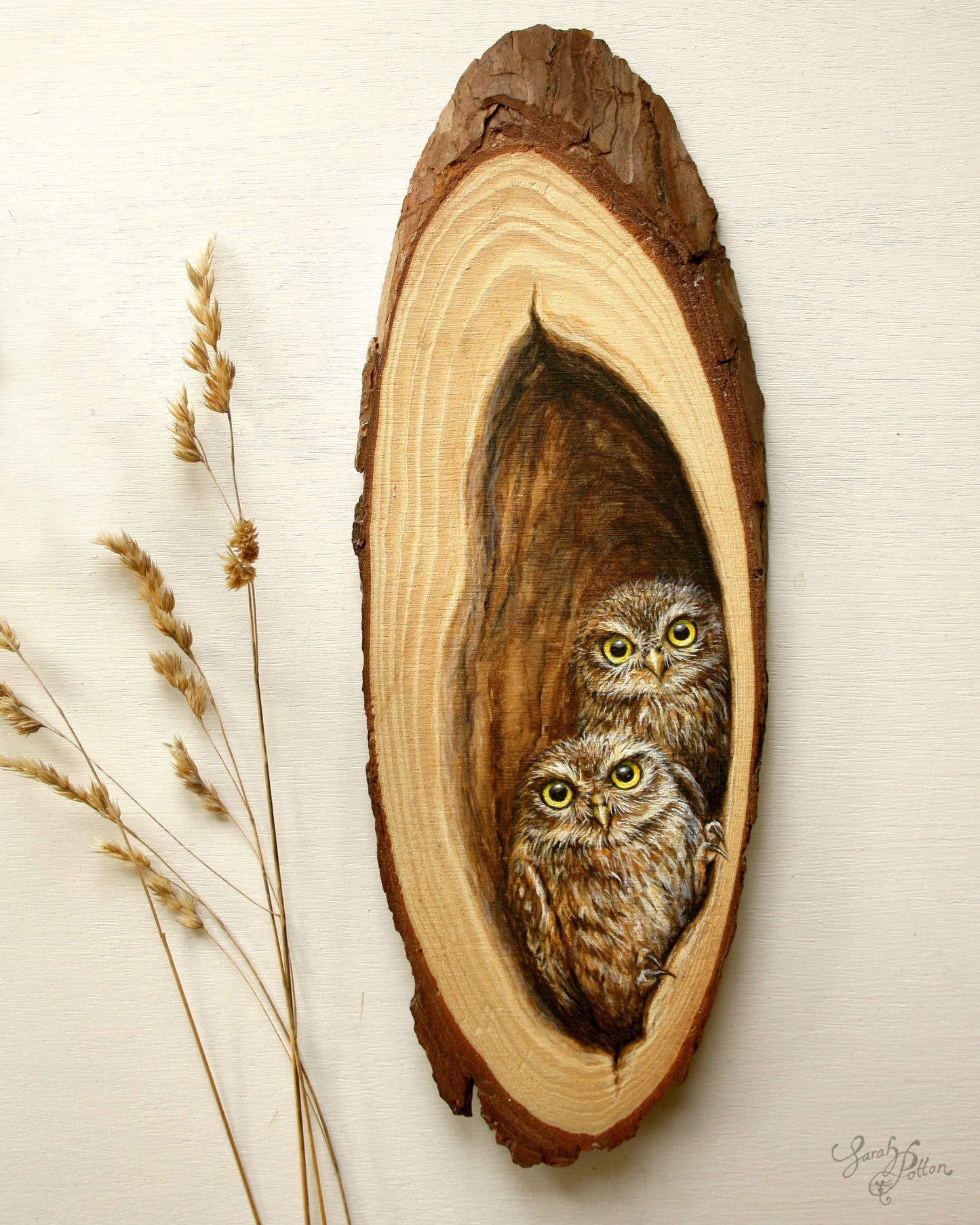 Wood Slice Painting - NZ Little Owls