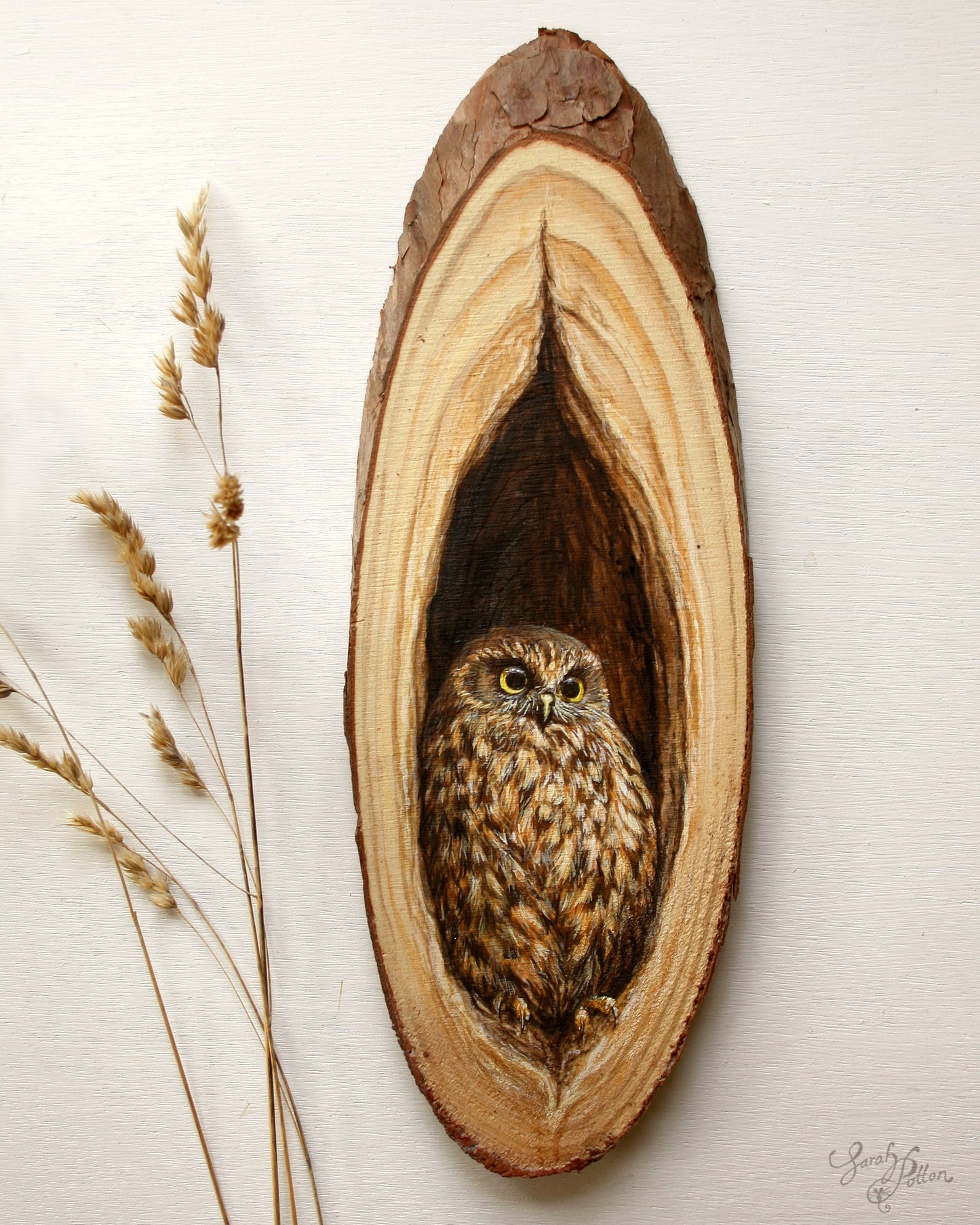 Wood Slice Painting - NZ Morepork Owl