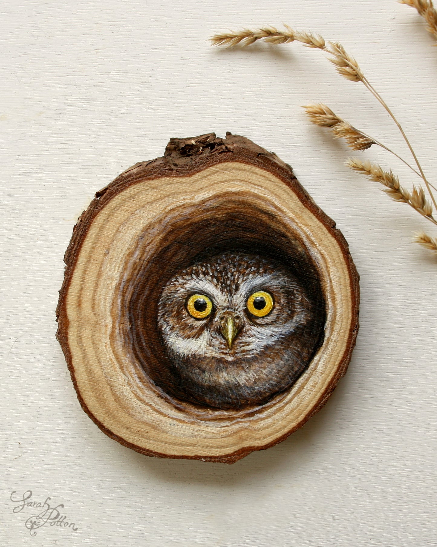 Wood Slice Painting - NZ Little Owl