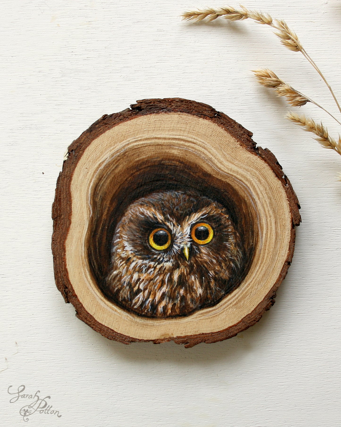 Wood Slice Painting - NZ Morepork Owl