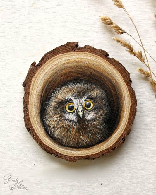 Wood Slice Painting - Baby Morepork Owl