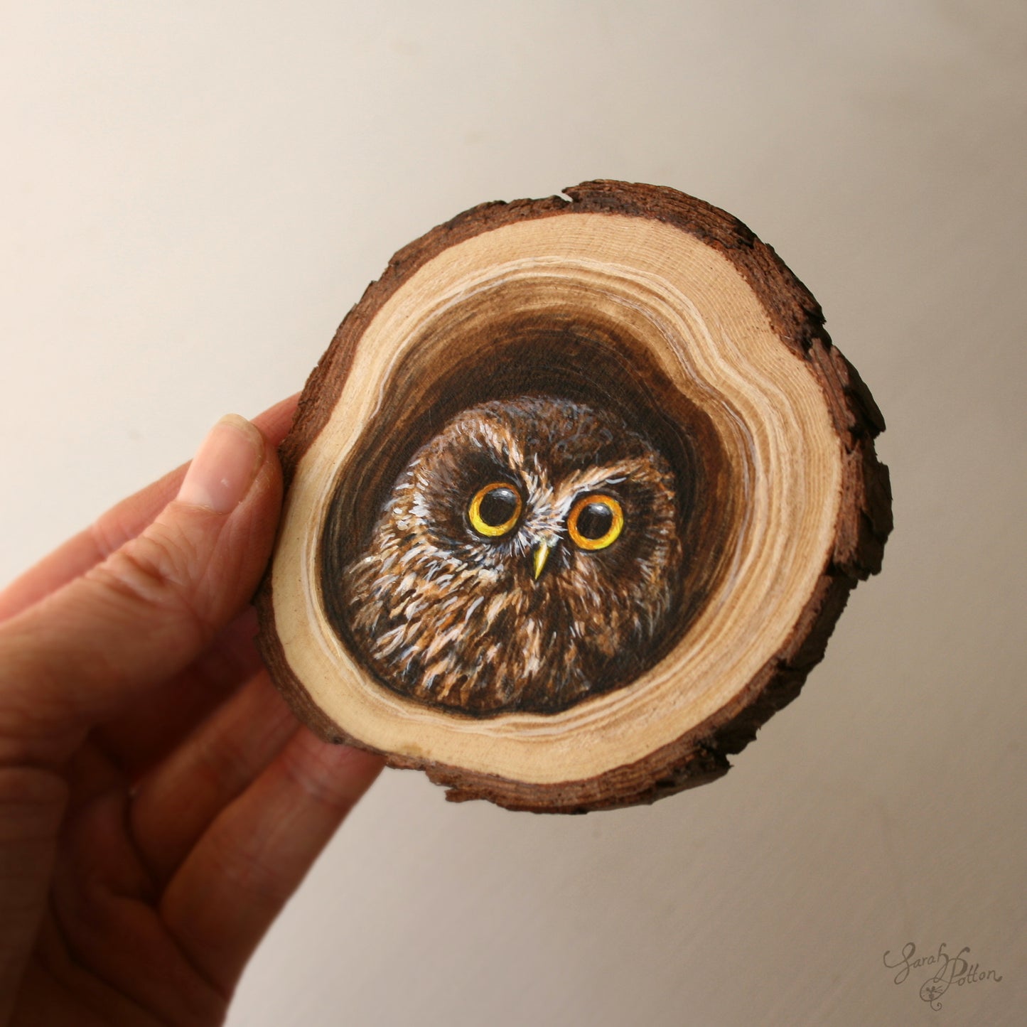 Wood Slice Painting - NZ Morepork Owl