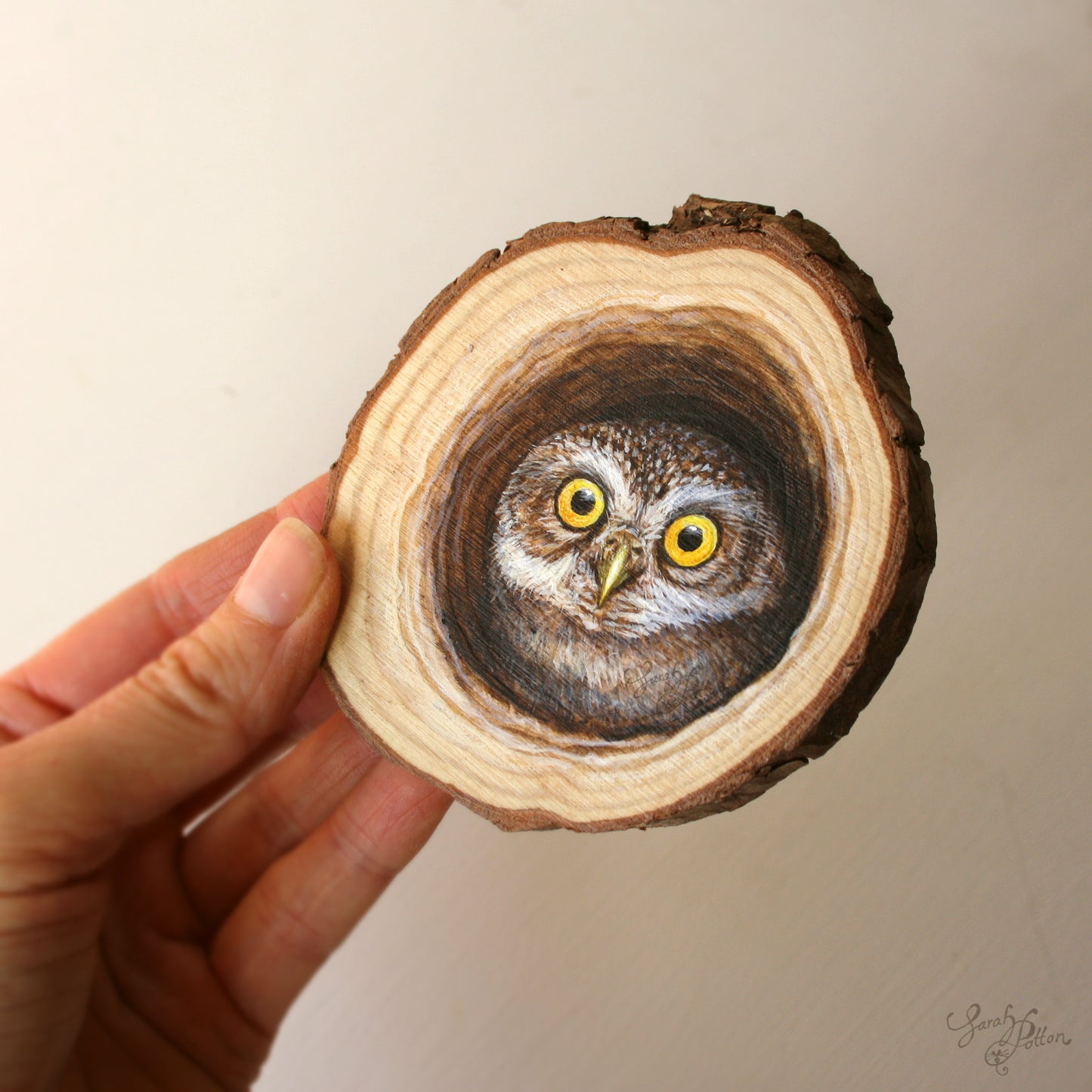 Wood Slice Painting - NZ Little Owl