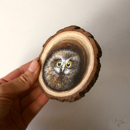 Wood Slice Painting - Baby Morepork Owl