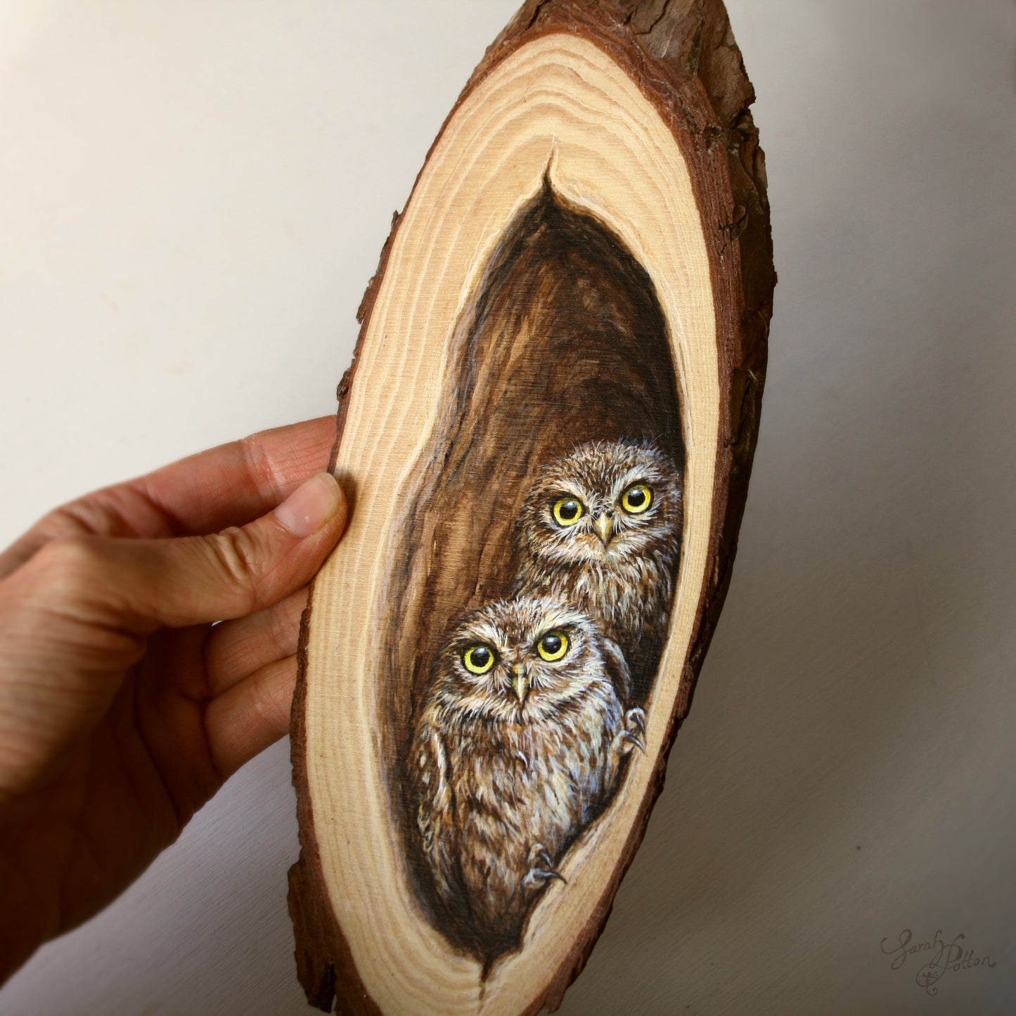 Wood Slice Painting - NZ Little Owls