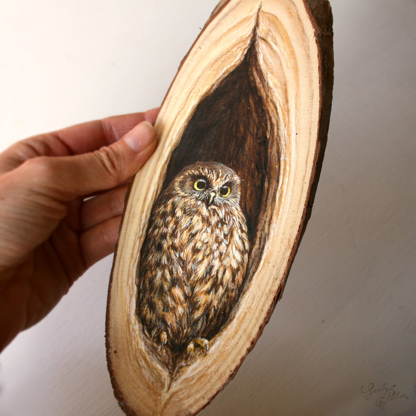 Wood Slice Painting - NZ Morepork Owl