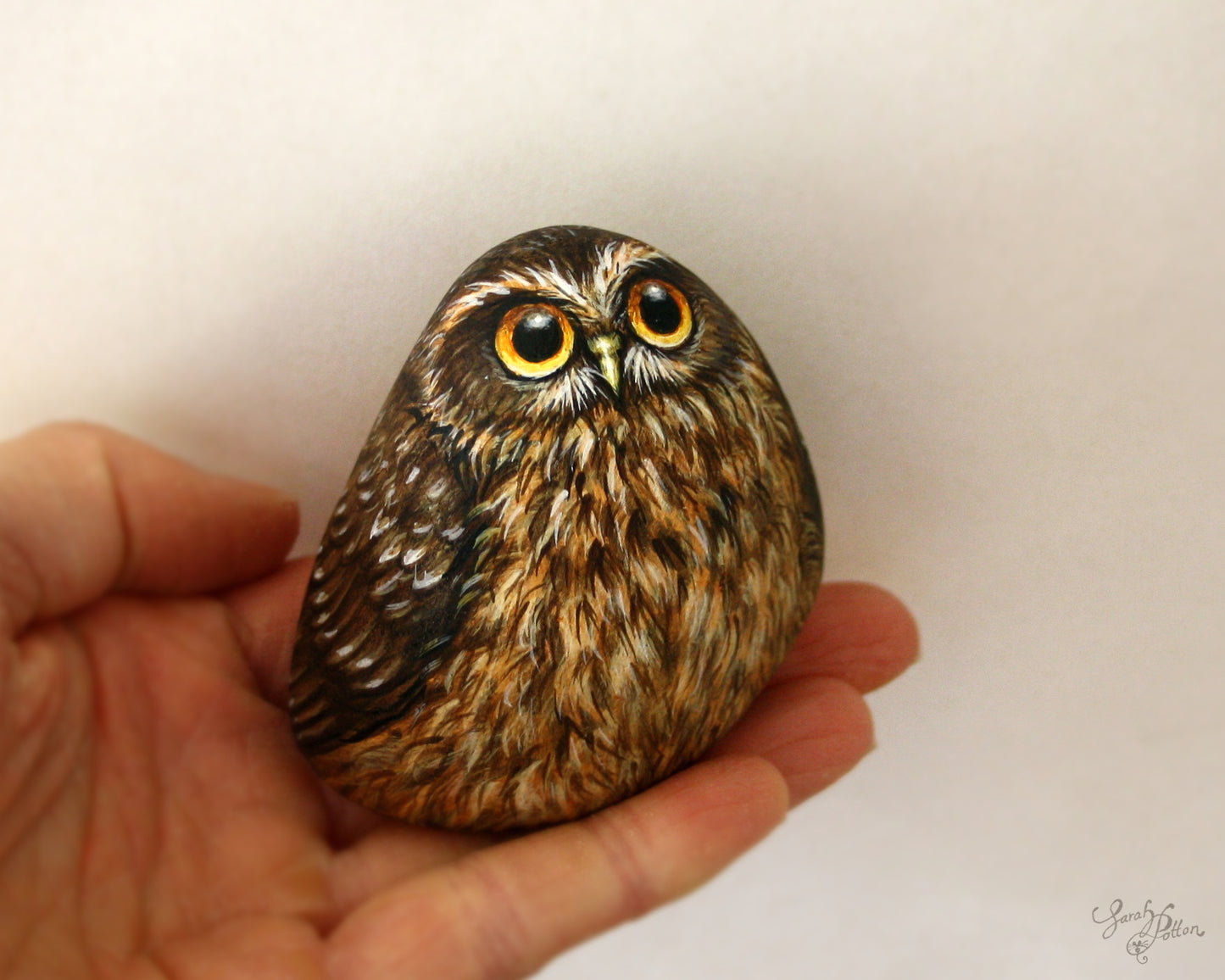 Owl Painted Rock - NZ Morepork