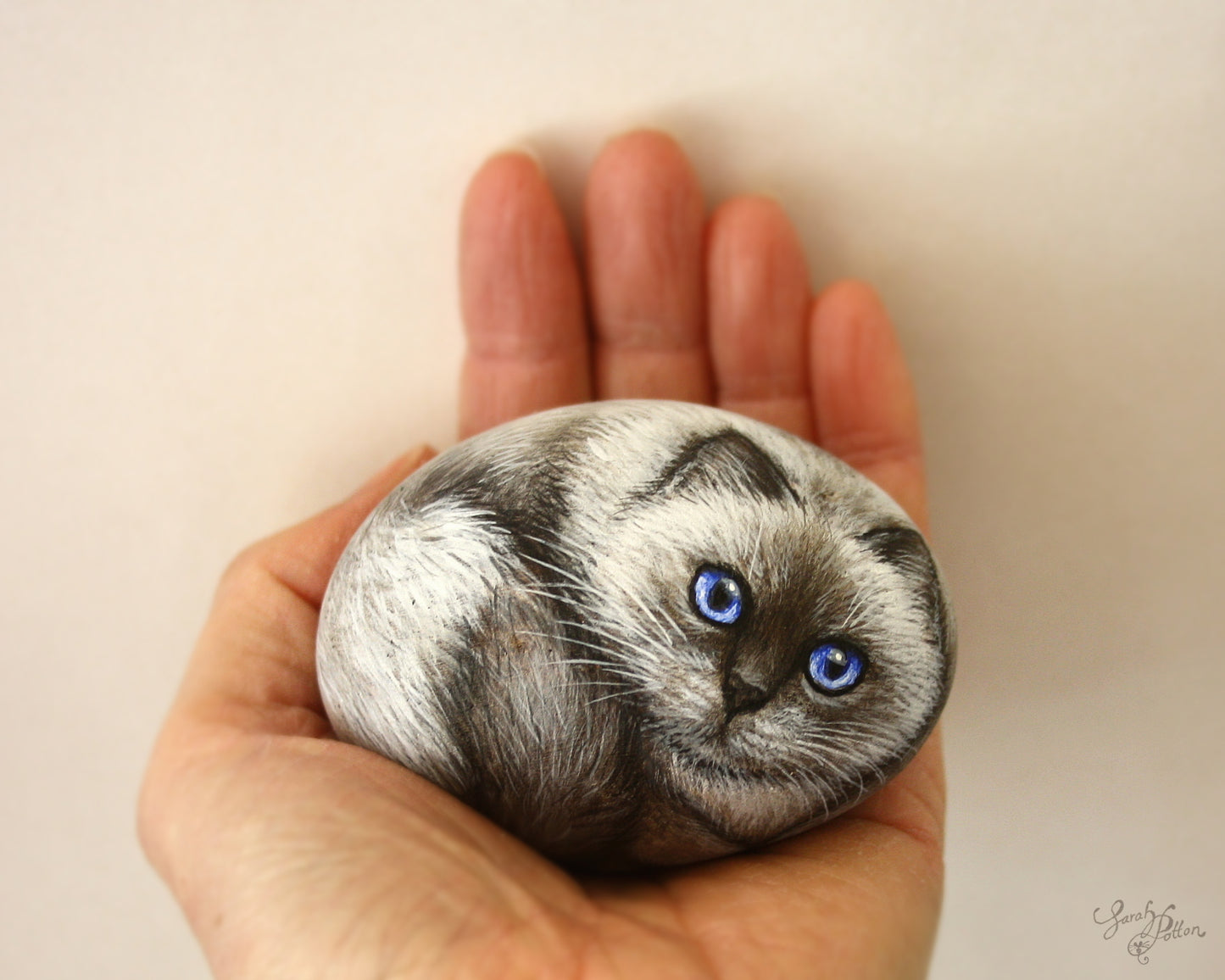 Painted Rock - Ragdoll / Birman Cat