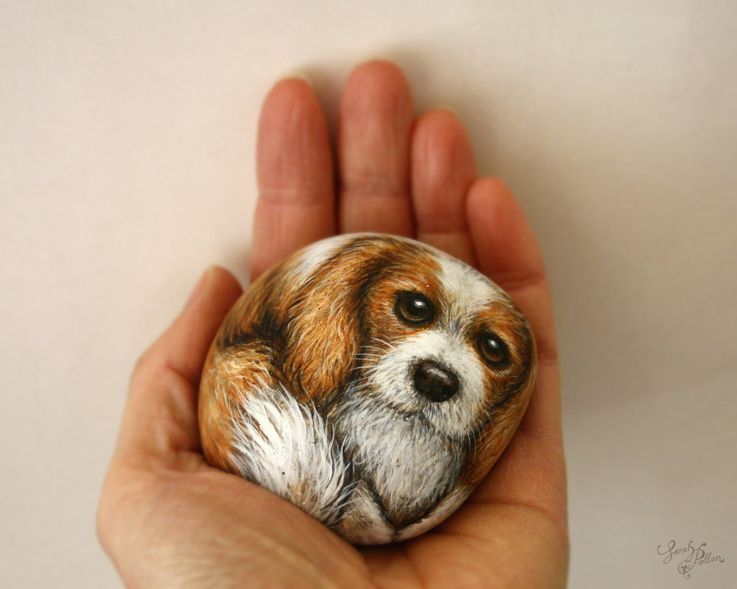 Dog Painted Rocks - Cavalier King Charles Spaniels