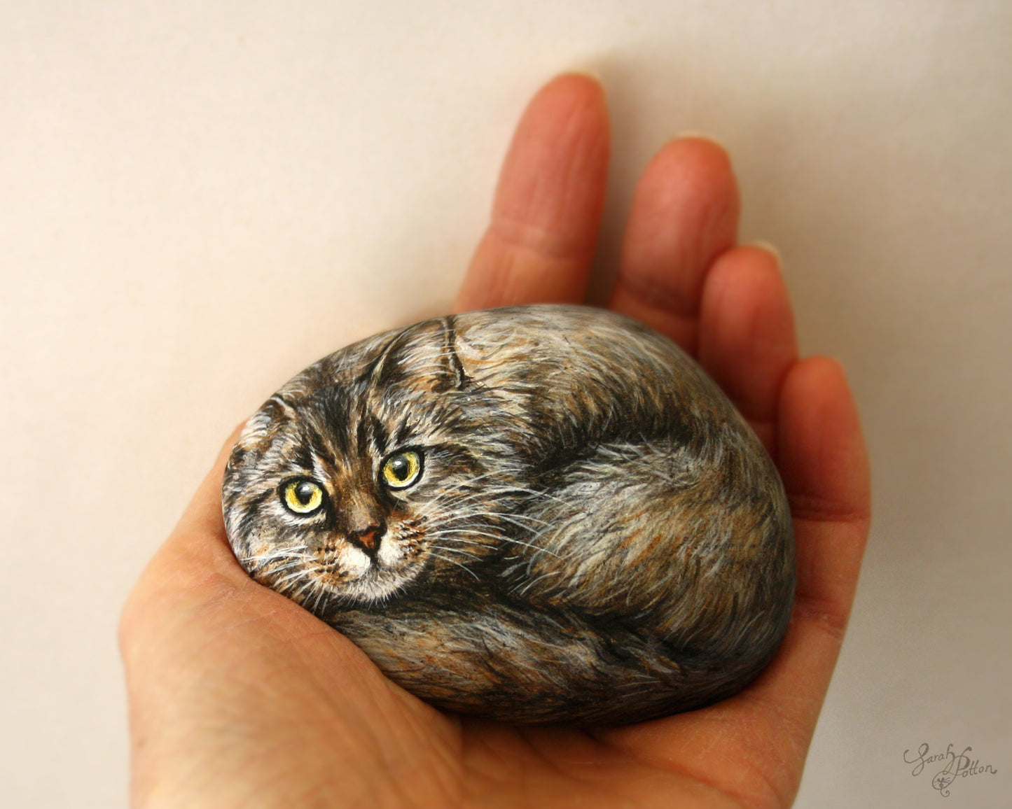 Maine Coon / Longhaired Cat Rock Painting