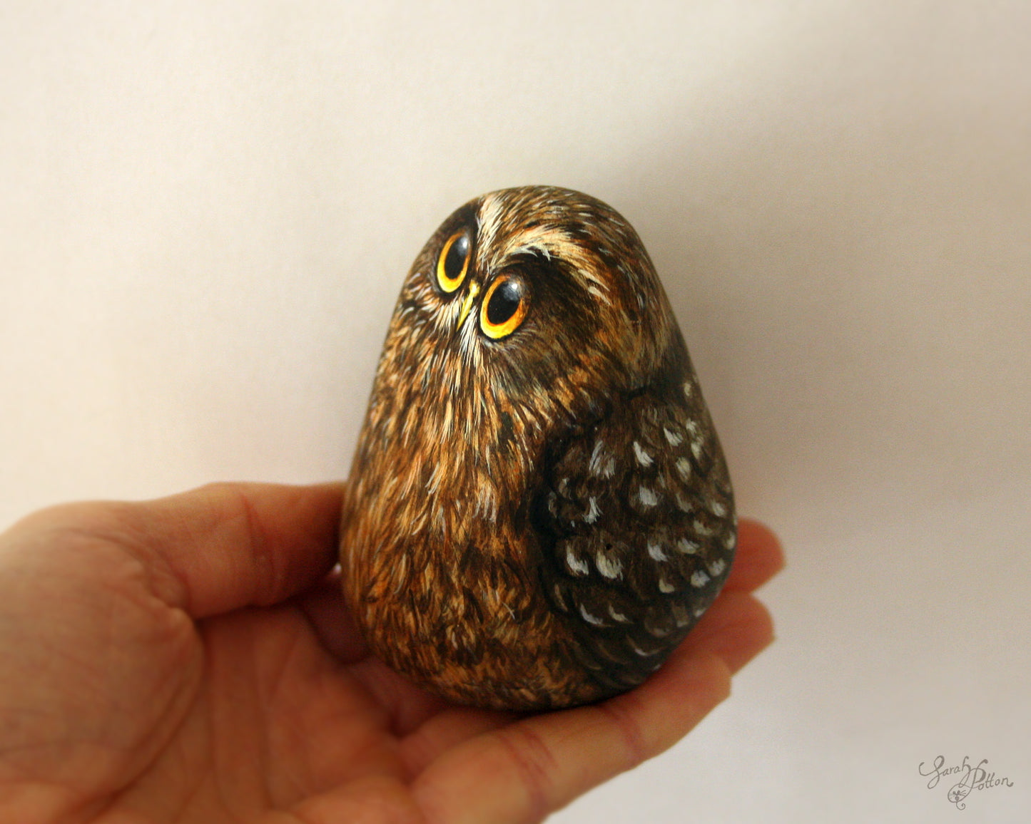 NZ Morepork Owl Rock Painting