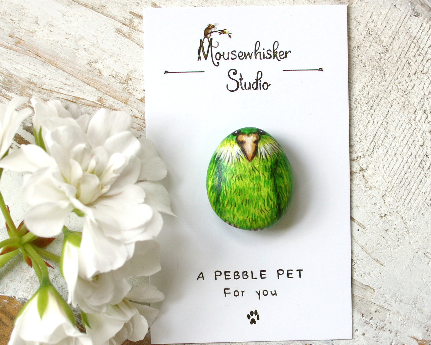 NZ Kakapo Pebble Brooch