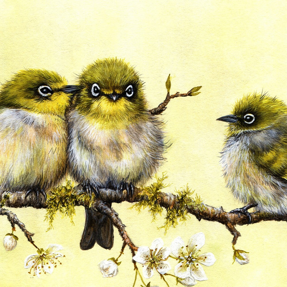 Painting of New Zealand Silvereyes