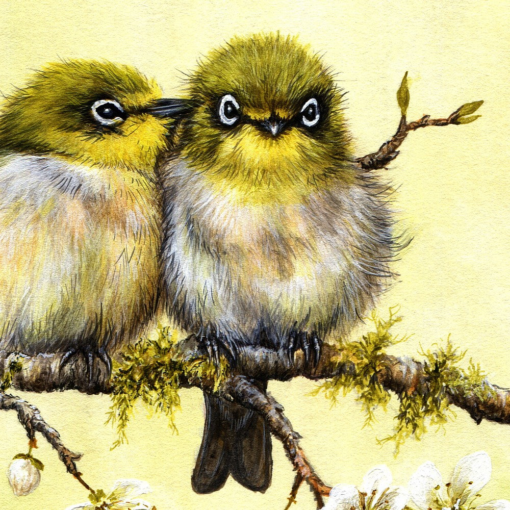 Silvereye Prints - Native New Zealand Birds - Yellow Themed Room Art