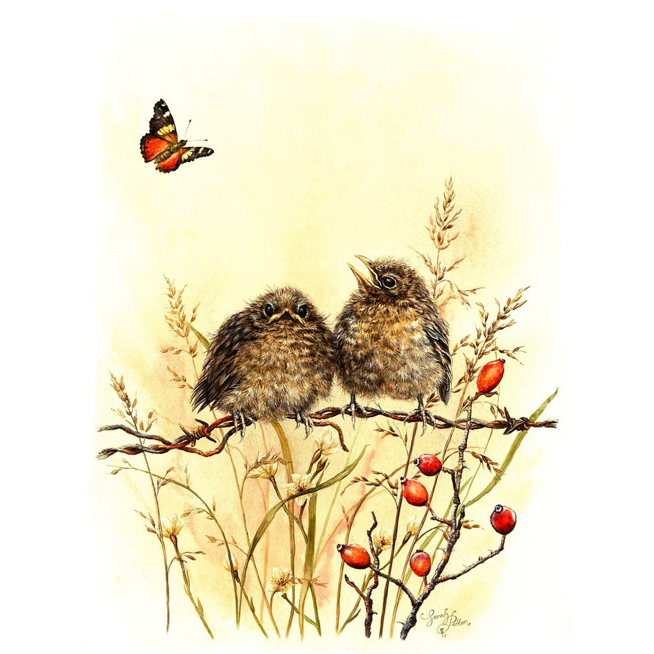 Original Painting of Fledgling Blackbirds and Butterfly