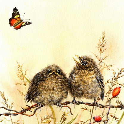 Print of Cute Fledgling Blackbirds