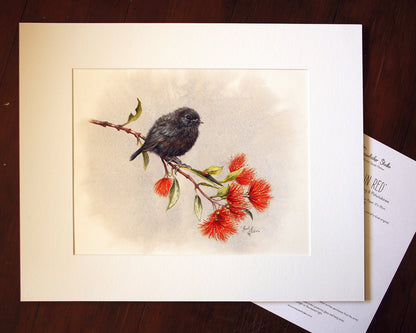 'Robin in Red' - Original Painting of NZ Black Robin