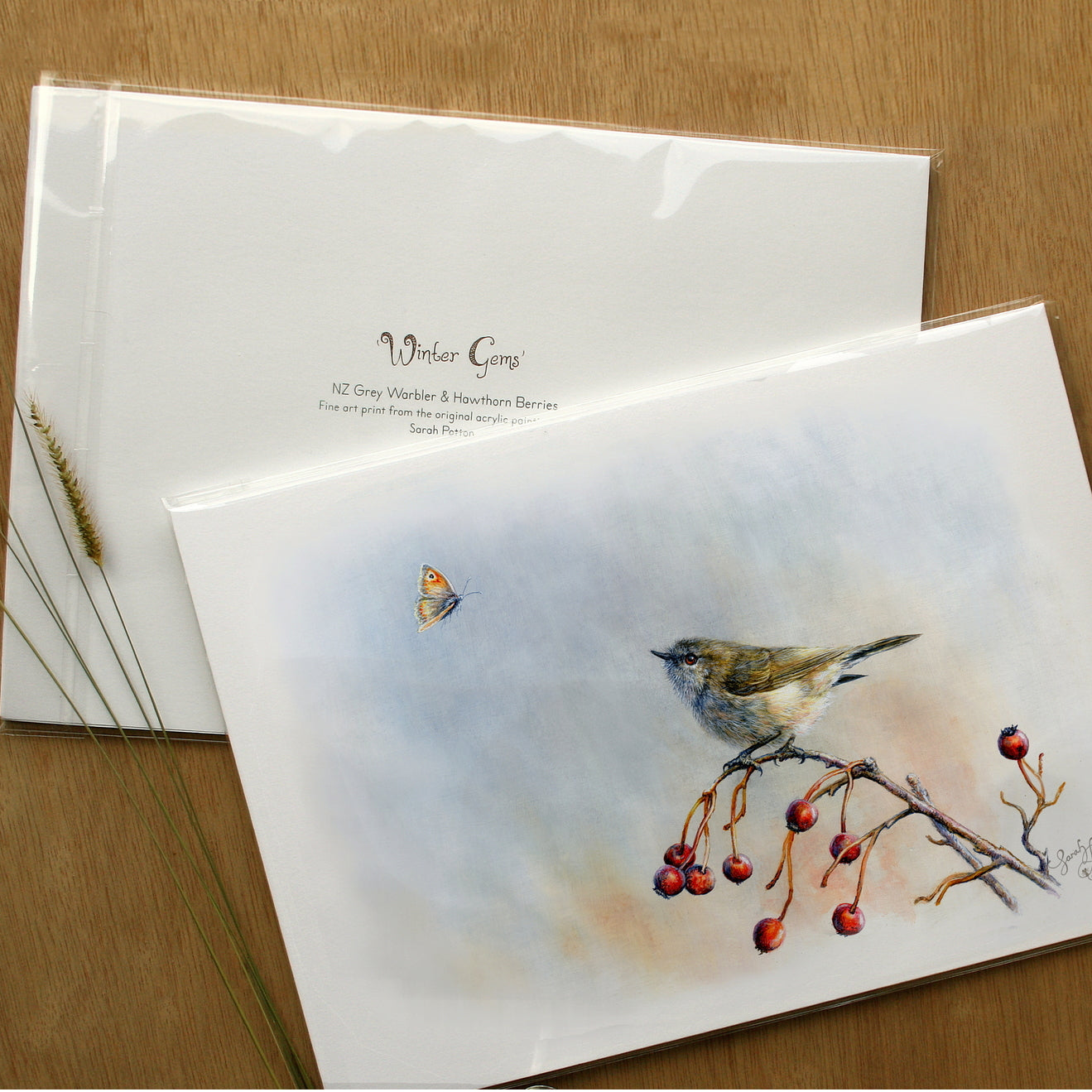 NZ Grey Warbler Artwork - Gifts Online