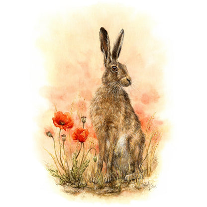 'Meadow Dreams' - Original Painting of Hare & Poppies