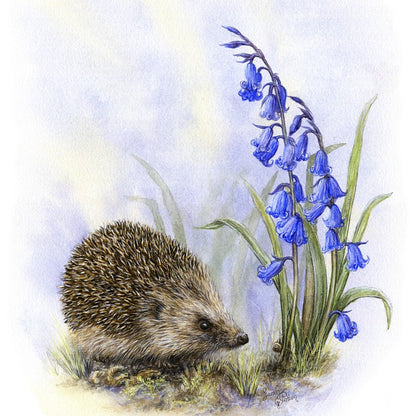 'Woodland Ramble' - Original Painting of Hedgehog & Bluebells