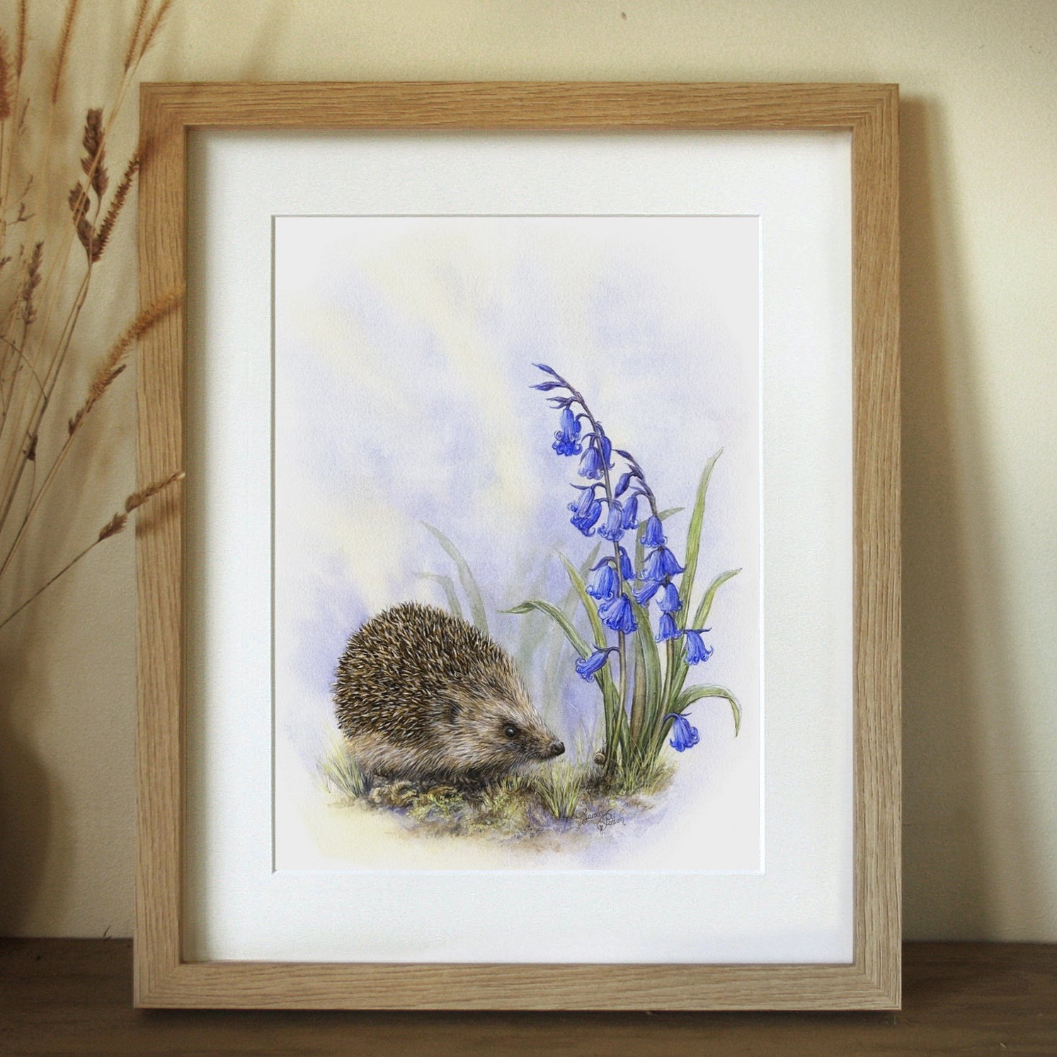 hedgehog and bluebells framed prints 