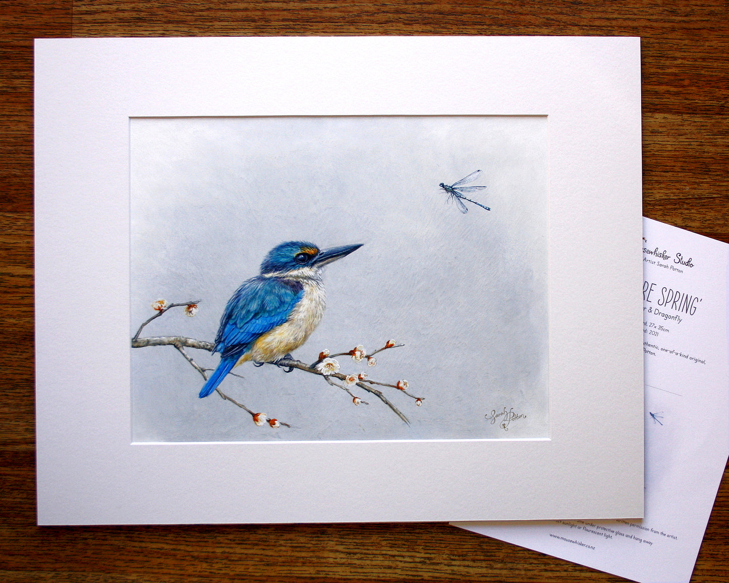 'Sapphire Spring' - Original Painting of Kingfisher