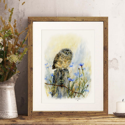 Framed Print of Owl - Ruru Nursery Decor