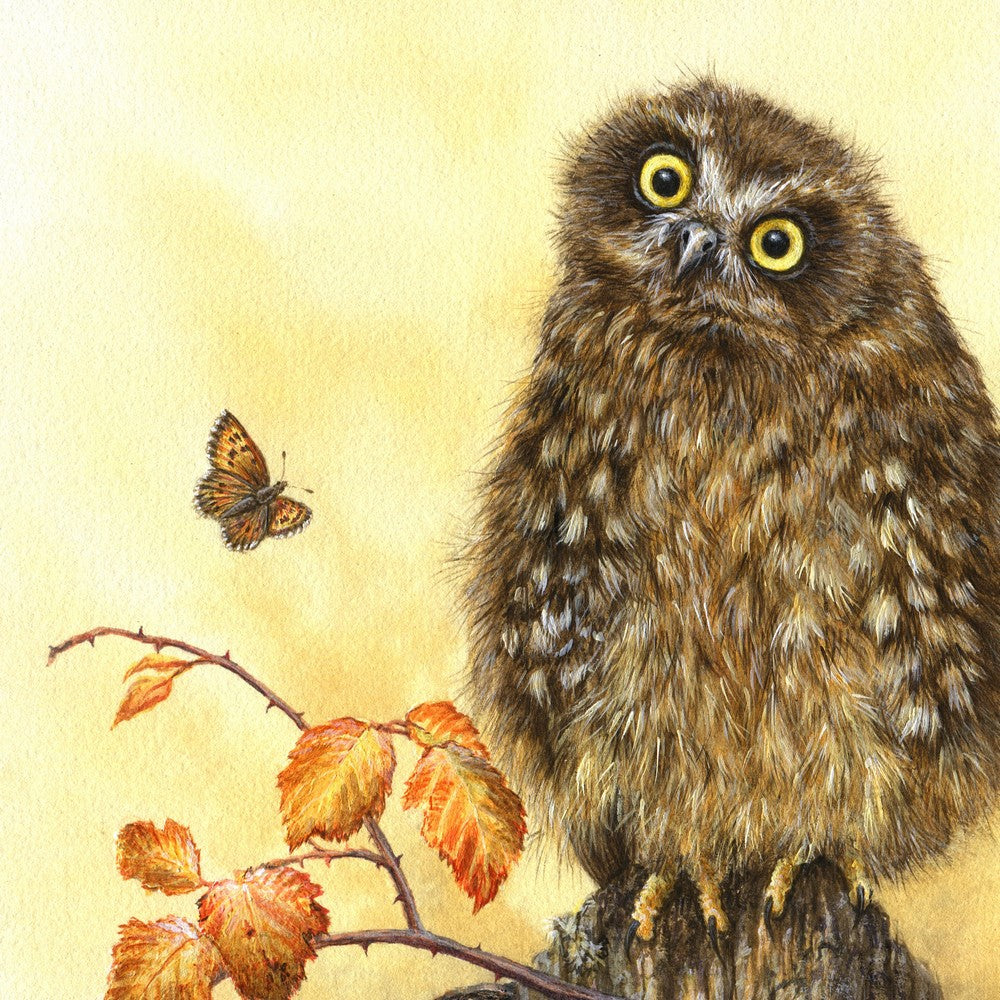 Ruru Owl Artwork by New Zealand Artist