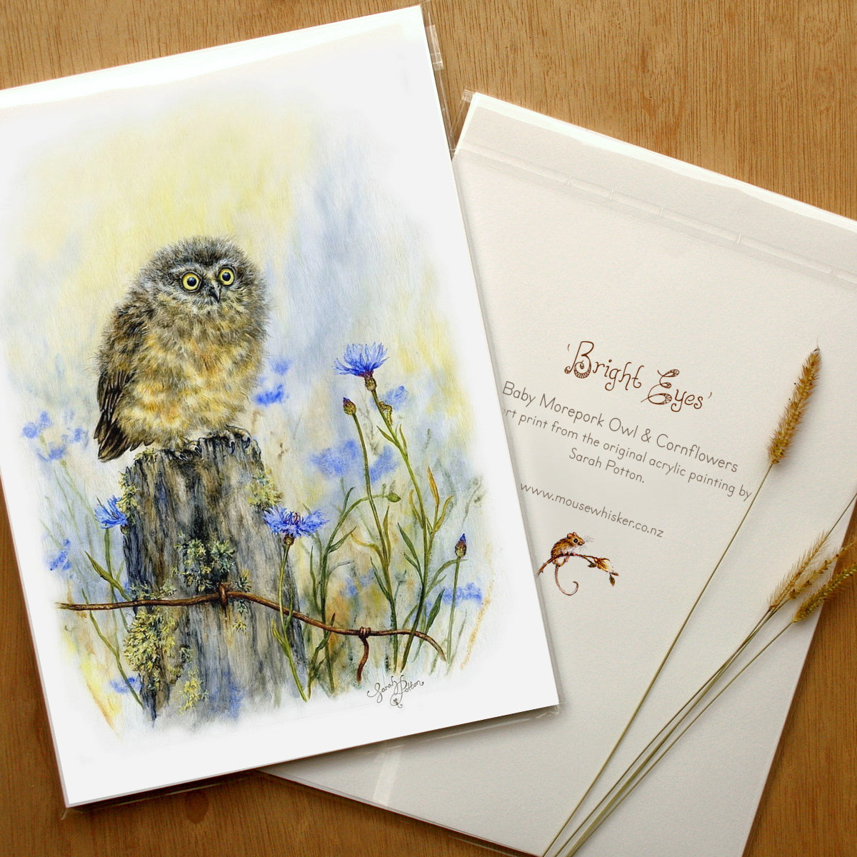 Morepork Owl - Framed Art Prints for Sale by NZ Artist - Bird Lover Gift