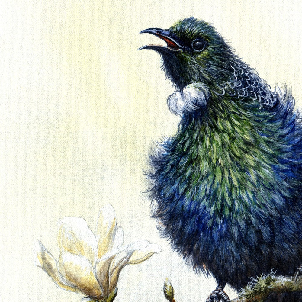 Tui Painting - NZ Bird Original Art for Sale – Mousewhisker Studio